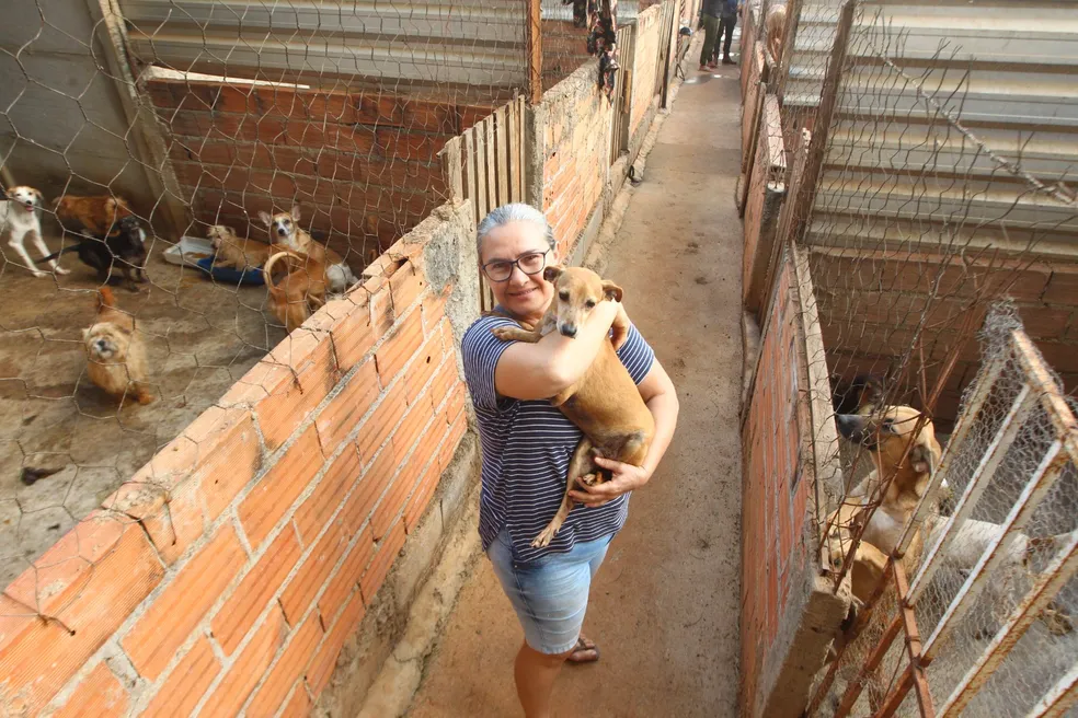 Cuidadora com cão no colo entre as baias do abrigo